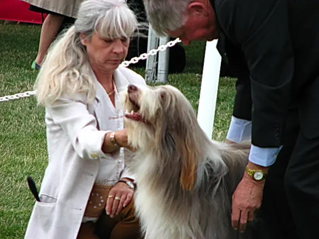 Jessica Biel's loyalty to Justin Timberlake remains unwavering, as evidenced by her support in all...