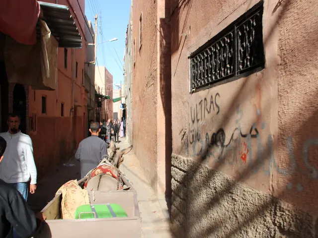 Political turmoil in Gaza: urgent political action required