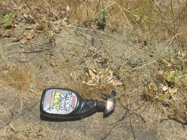 Nutrient-Rich Soil: Fostering Robust Vegetation Growth