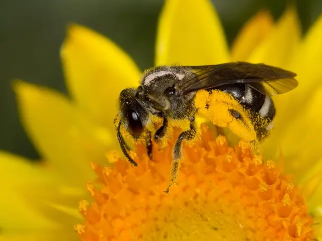 The nation finds itself in a critical, urgent situation.