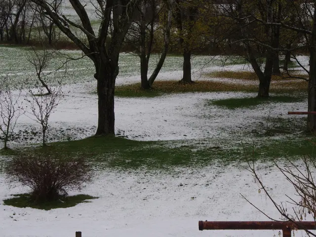 Healthy Strides: A Potential Remedy for Your Woes