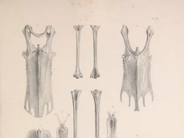 Number of Cells and Variety of Cell Types Comprising the Human Anatomy