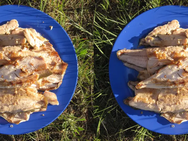 Liver from cows, nutritional profile, advantages, and potential hazards