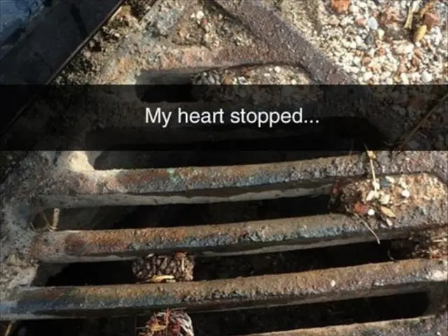 Heart Attack Without Warning: Understanding Symptoms, Prognosis, Recovery, and Beyond