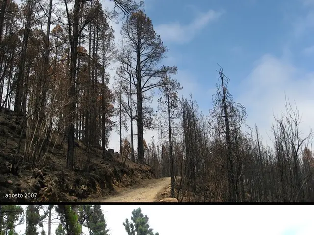 Unveiling the Mightiest Scientific Experiments of the Year, Showcased in 14 Striking Visual...