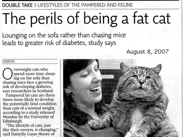 Domestic Aggression Hits an All-Time Peak