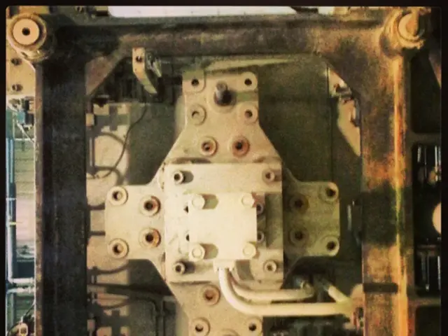 Braces Made of Metal: Applications, Pricing, Advantages, and Additional Information