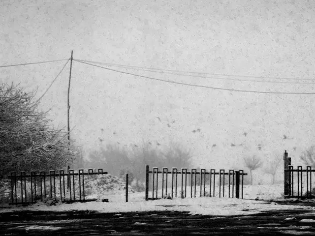 Heart Failure Linked to Adverse Weather Conditions According to Comprehensive Research Study