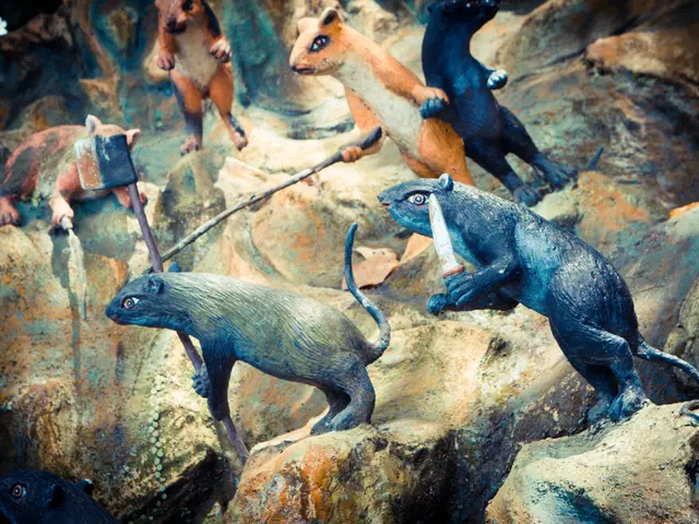 Revised Drug That Could Revolutionize Anxiety: Propranolol