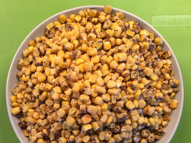 In India's Economic Interest: Maintaining Import Barriers for American GM Soya and Corn by Suman...