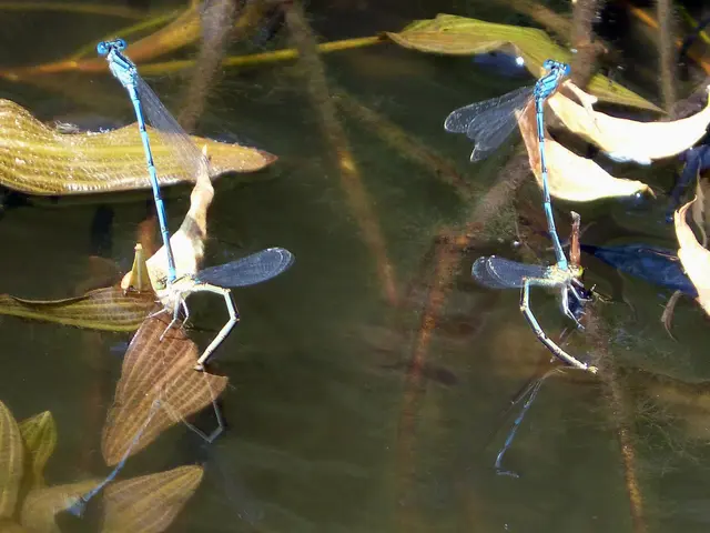 Komi Officials Amplify Efforts to Guarantee Nuclear Security and Radiation Safety in Uht