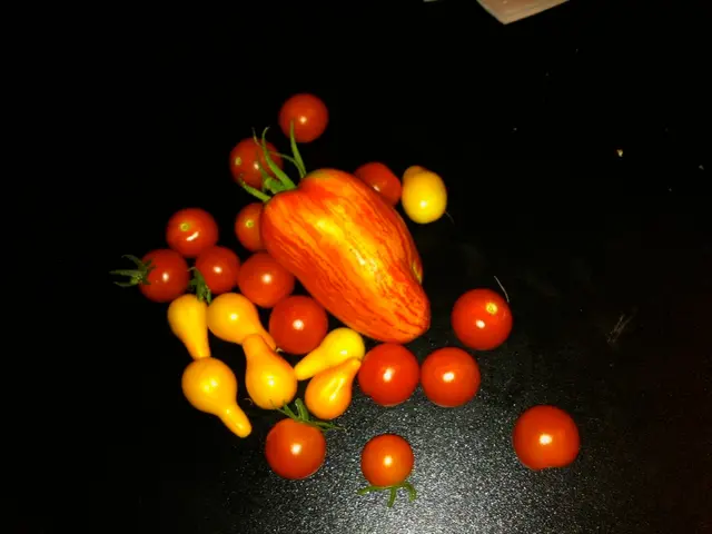 Twenty Fruits Offering Disease Prevention Benefits