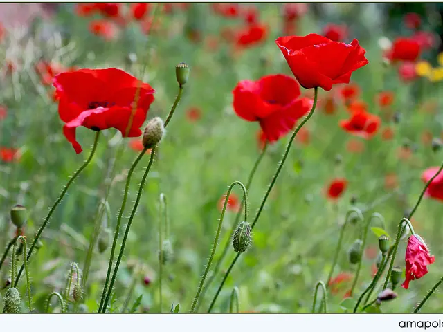 Probing the Mind's Response to Gonadotropin-Releasing Hormone (GnRH) Exploration