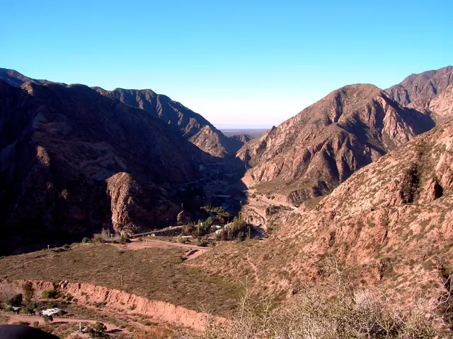 Anemia with Megaloblastic characteristics: Origin, signs, and remedies