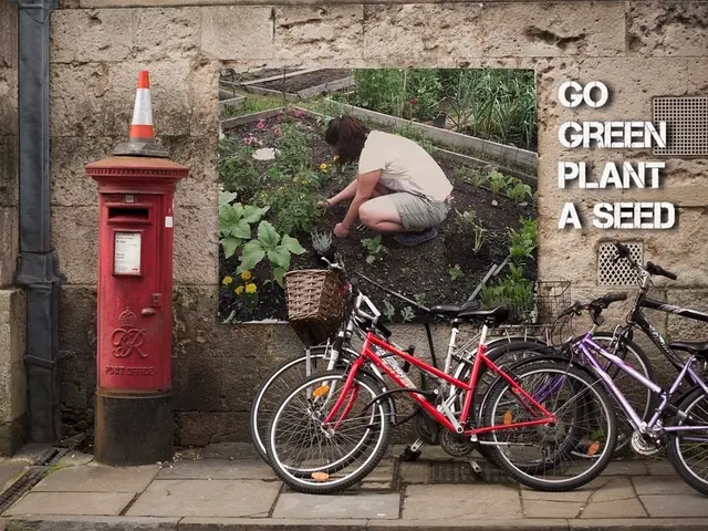 Authorities issue caution against careless actions or judgments