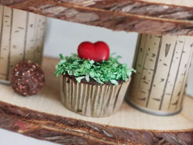 Gallbladder Cholesterol Disease: Understanding Its Characteristics, Signs, and Remedies