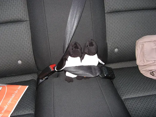 Regulations governing child safety seats in Germany