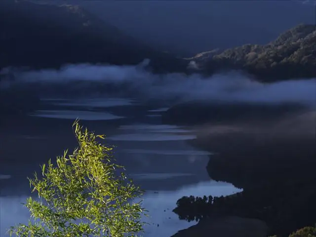 Alert Issued Over Presence of Blue-Water Algae in Five Bodies of Water