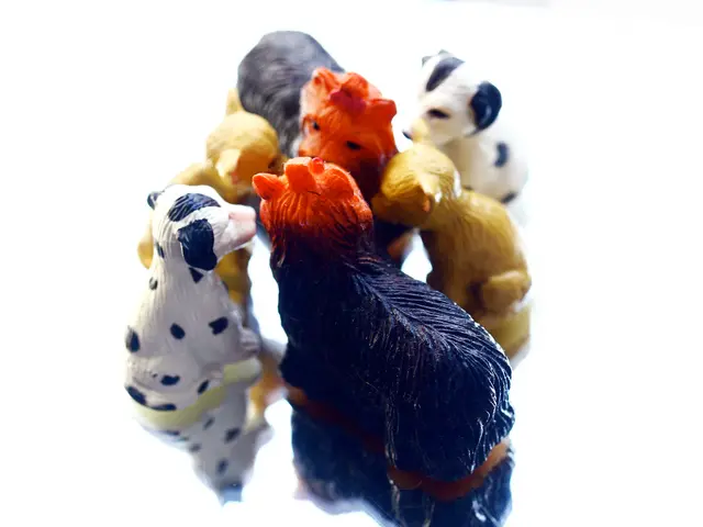 Discounted Sex Toys Prevalent for Black Friday Shopping