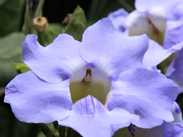 Daily Habits to Boost Life Expectancy