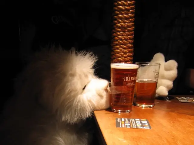 Early Manifestations of Relapsing Polychondritis: Identifying Key Signs