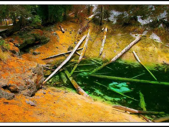 Marine Pine Bark Extract's (MPBE) Neuroprotective Properties Unveiled