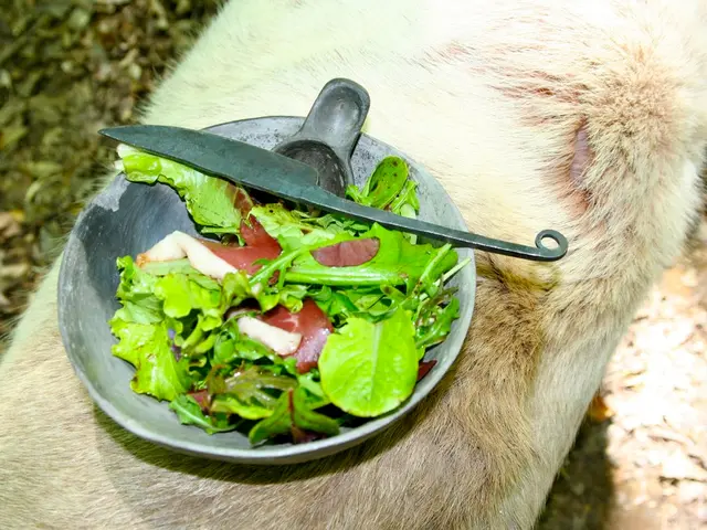 IBD Diarrhea: Symptoms, Causes, Treatments, and Additional Information – Detailing the signs,...