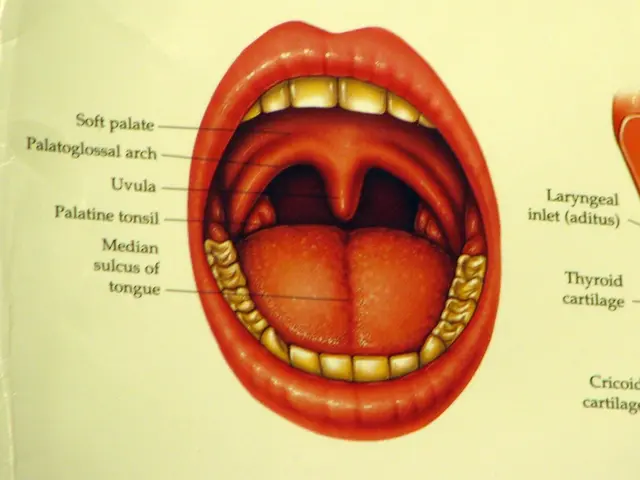 Predicted survival forecast for oral cancer cases