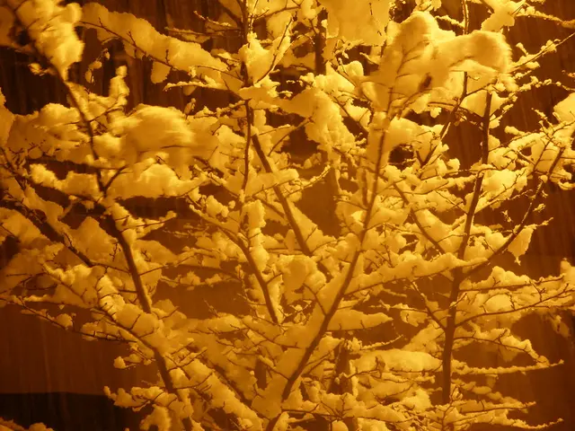 Understanding the reasons behind simultaneous symptoms of dry eyes and dry mouth in individuals.