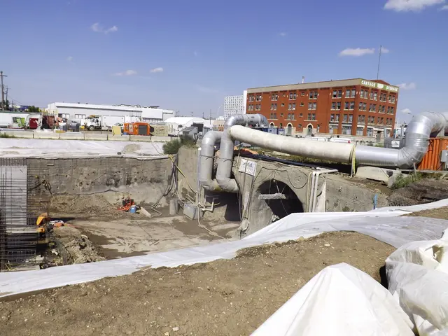 BRICS strengthens partnership despite Trump's assertion that the alliance is defunct