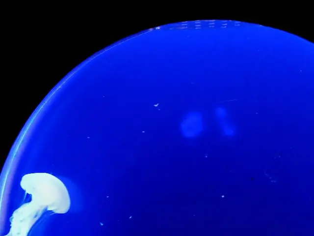 Oceanic Acidification's Impact on Shrimp Biological Functions Unveiled in Recent Research