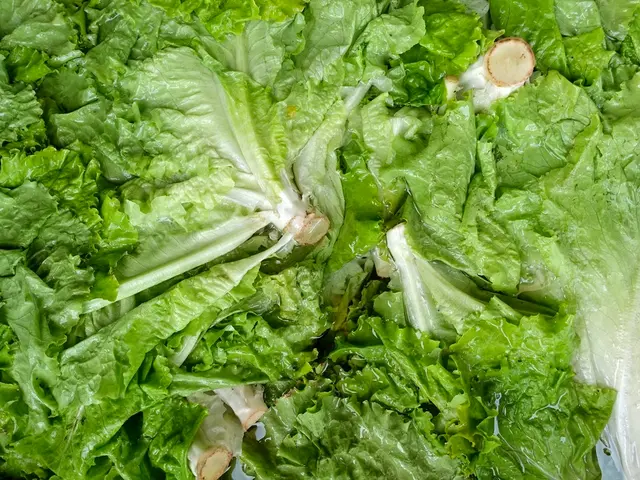Fungal Infection Incident on Indoor Grown Lettuce