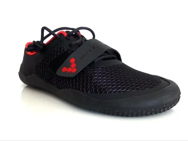 Ankle condition, osteochondritis dissecans: symptoms, reasons, and additional details