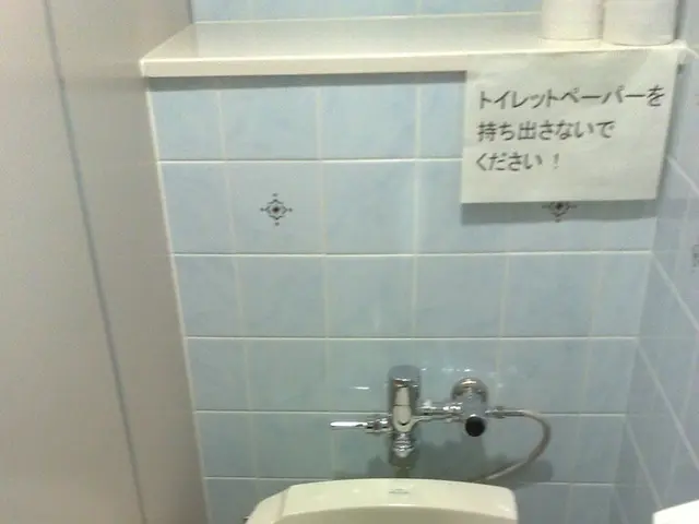 Stomas Explained: Varieties, Purpose, Surgery, Maintenance, and Additional Insights