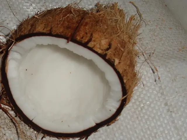 Culinary and Health Benefits of Coconut Oil: A Comprehensive Look