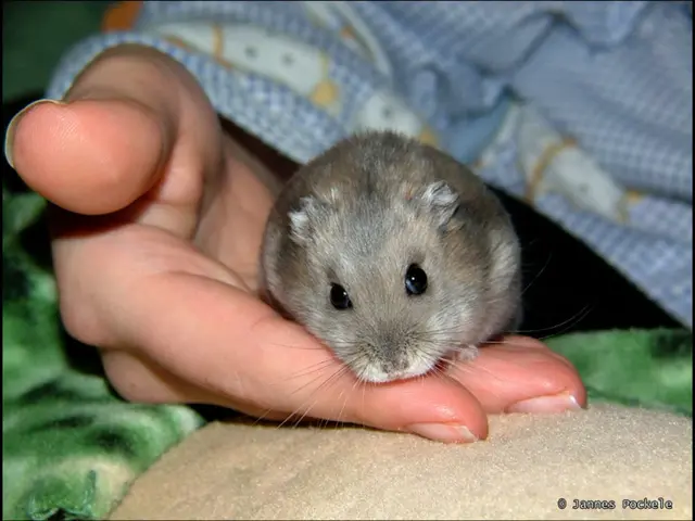 Space-etraveled mouse stem cells flourish for six months, generating healthy progeny upon their...