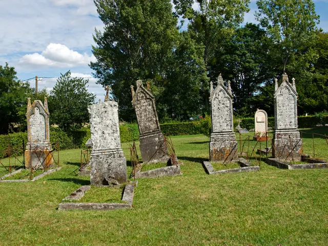 Palliative and Hospice Care Offer Comfort During Challenging Periods