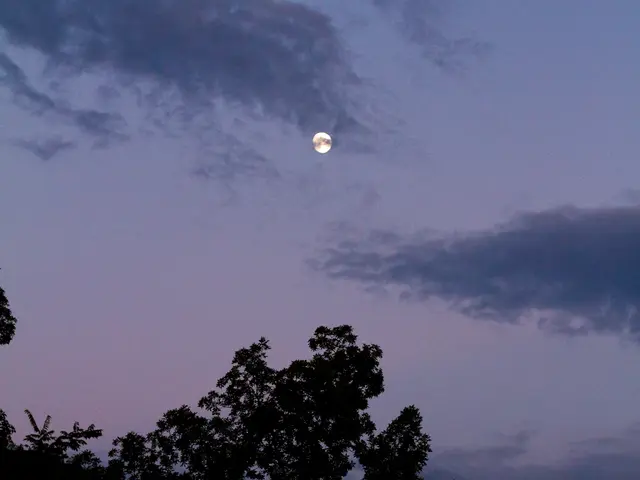 Nighttime Allergies: Causes and Remedies for Persistent Symptoms