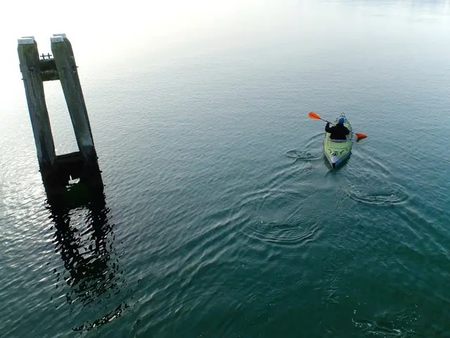 Results of ANAIS study by Anaconda Biomed officially published in the American Journal of...