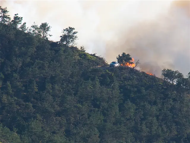 Health Professionals Alert on Potential Harm from Fire Smoke