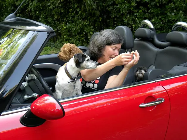 Dog observed in vehicle at sub-zero temperatures leads to chaotic events unfolding