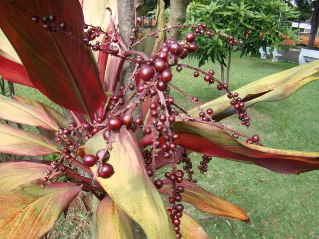 Health Care Provided by Kneipp Verein Essen e.V. within Gruga