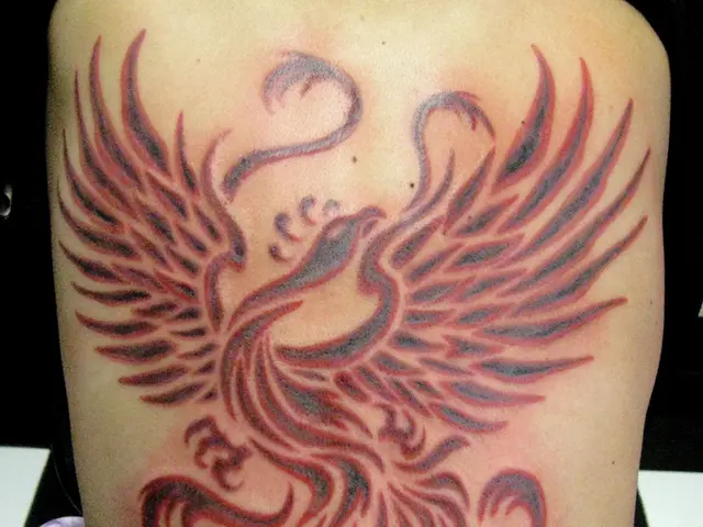 Suffering from Tattoo Ailments? Here's Your Guide to Overcoming Tattoo Maladies