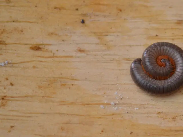 Job Opportunities at Nepal Medical College