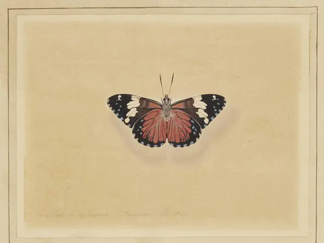 Understanding Borderline Personality Disorder: A Comprehensive Look