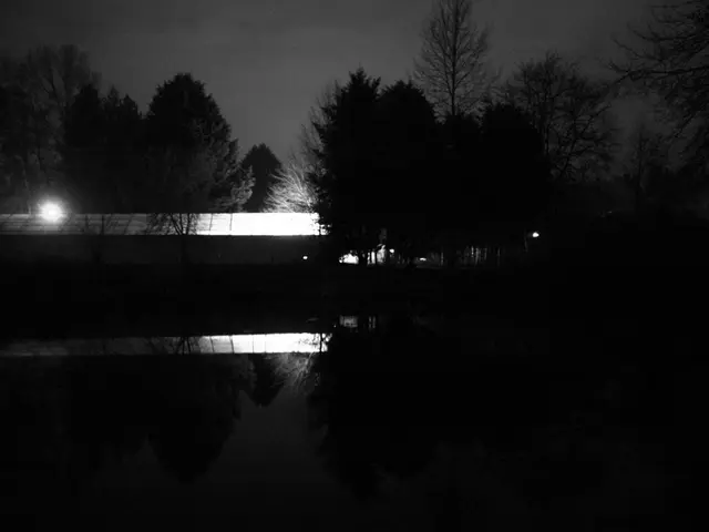 Experiencing increased hair fall in recent days? Understand the reasons behind the common...