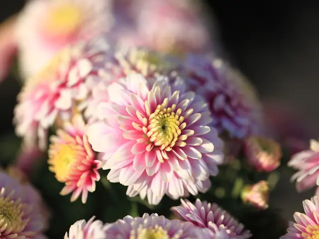 Prevented import of 19 metric tons of contaminated hummus originating from Uzbekistan