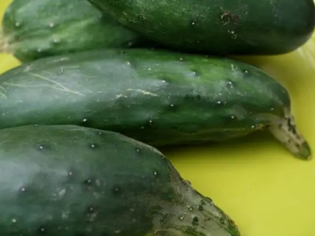 This is a picture of a vegetable. This vegetable is in green color and it is kept on a plate, which...