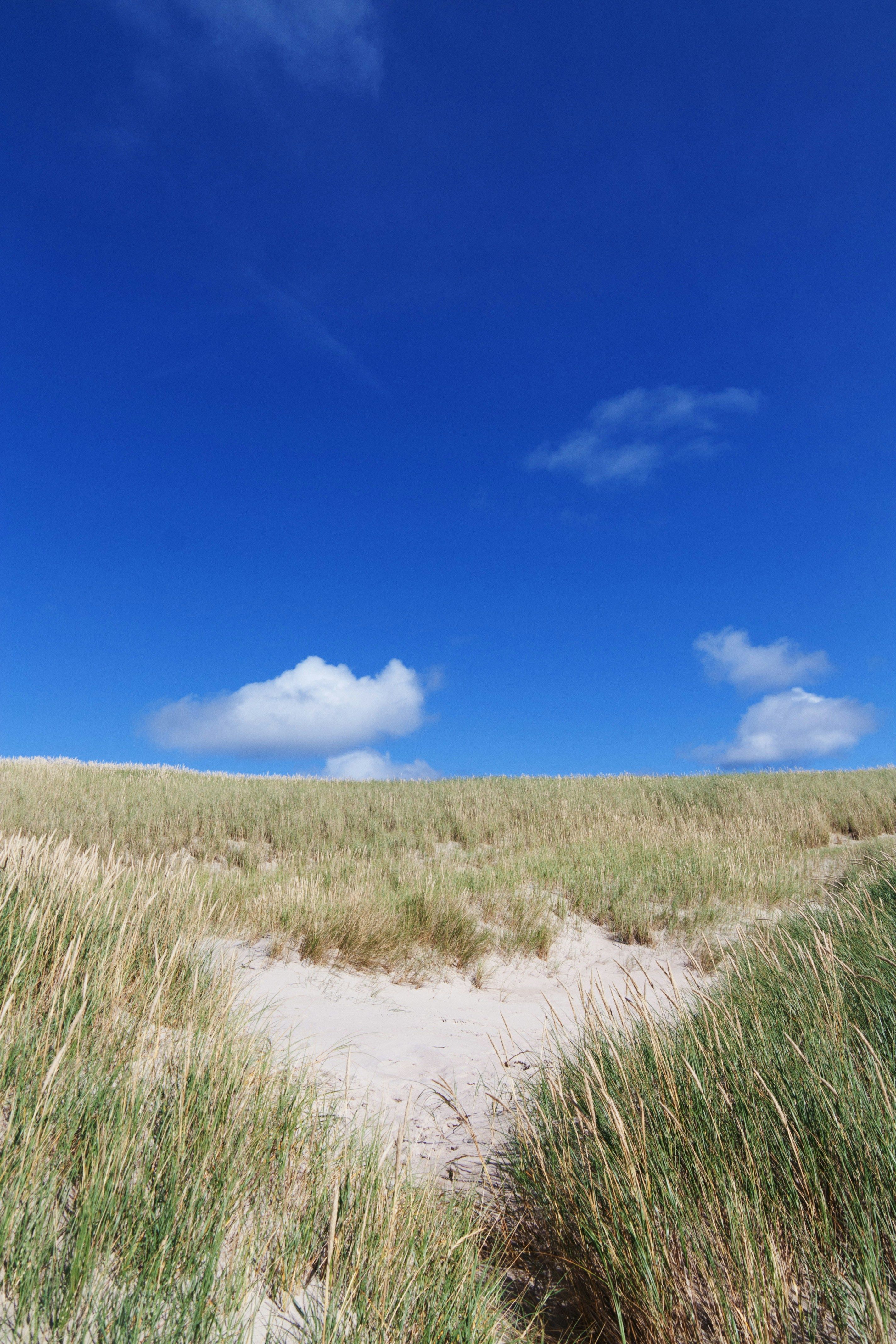 City council of veterans confer with Almaty's leadership on October 1, 2020, at the Akimat's...