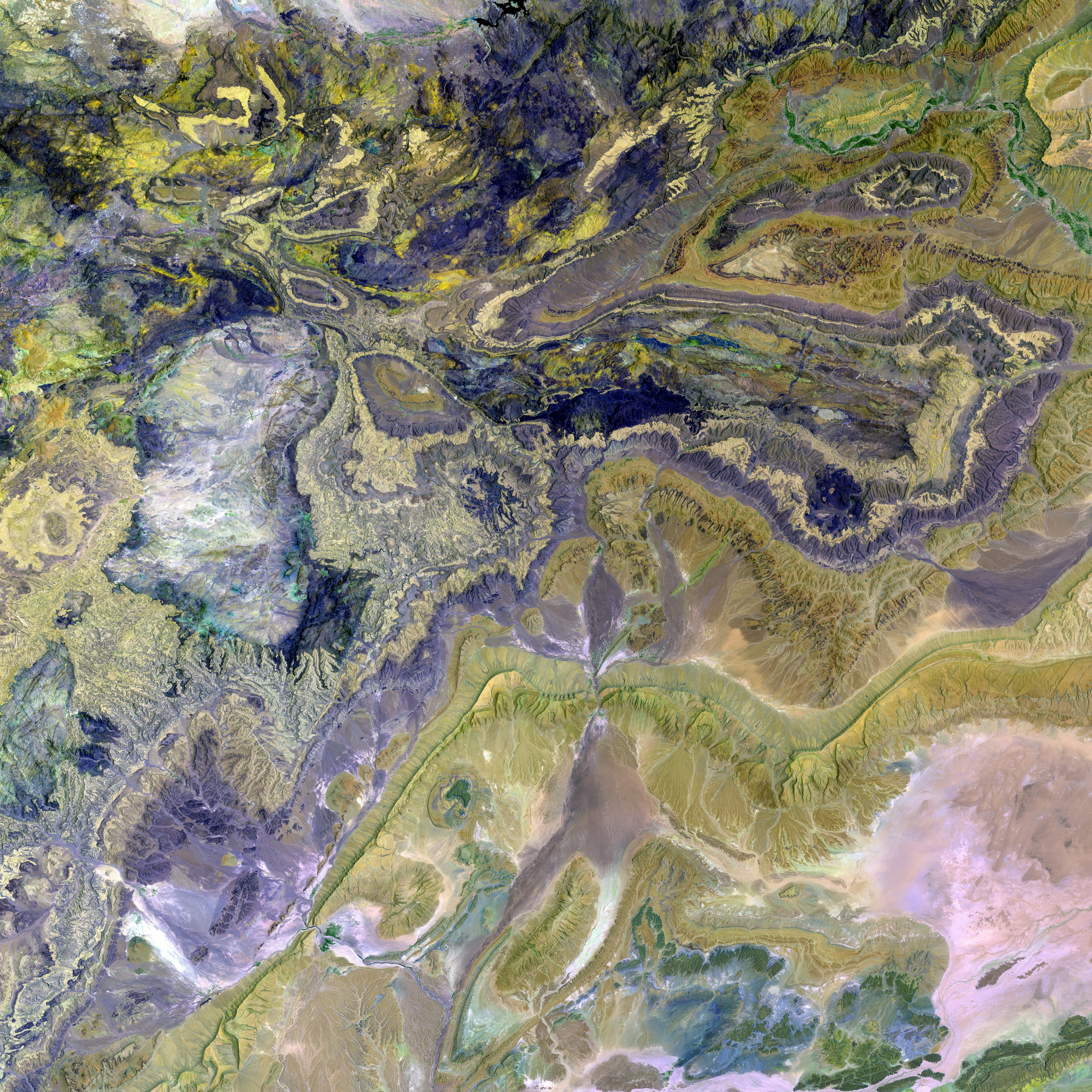 Geneva Event Marked by Presence of World Health Organization Symbol